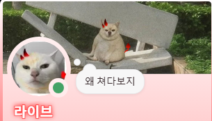 L_ive31's tweet photo. 파괴적 https://t.co/wziAzJlKHQ