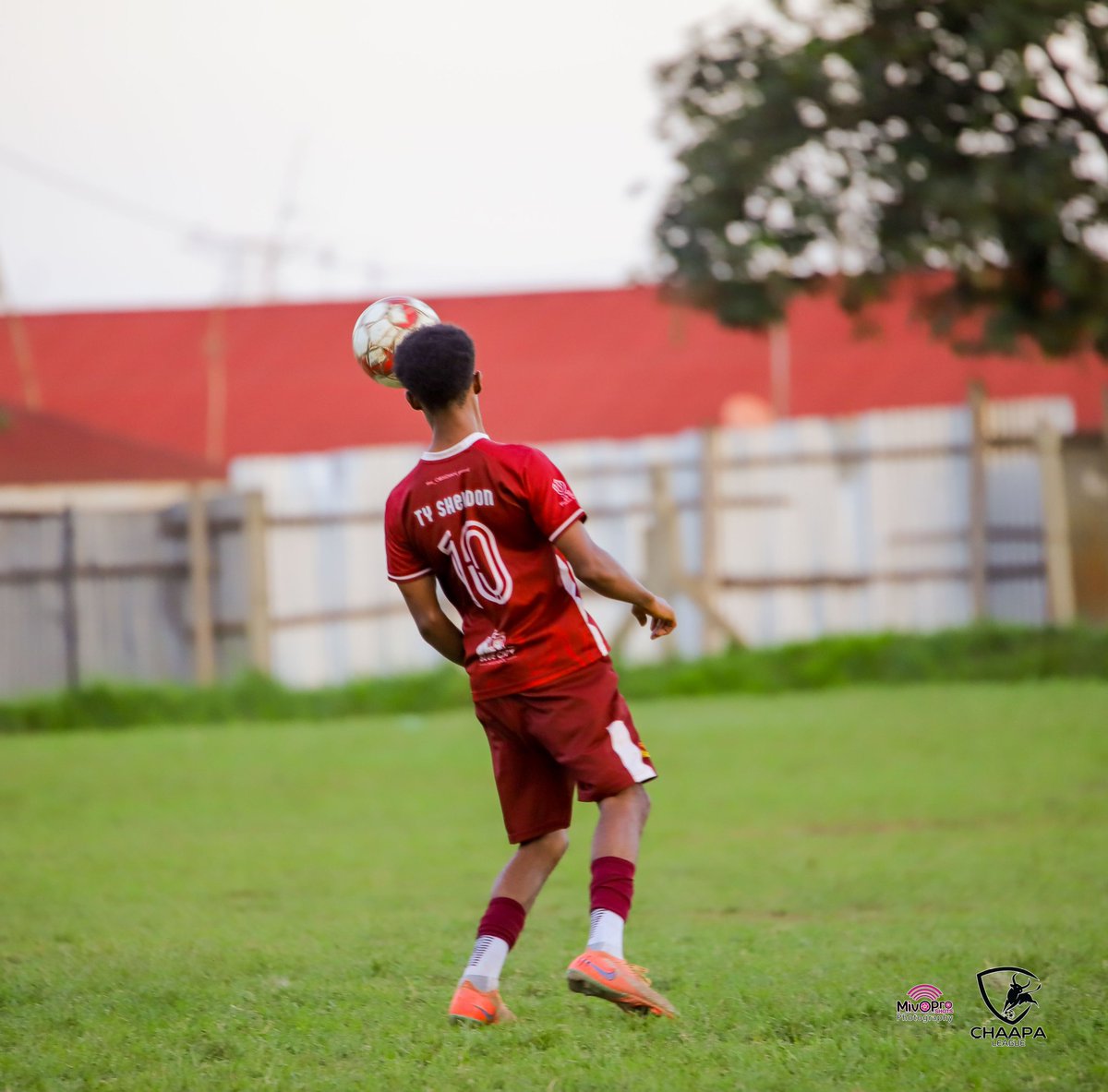 Bismark 👣 🧩 tweet media