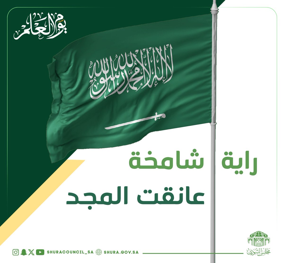 مجلس الشورى tweet media