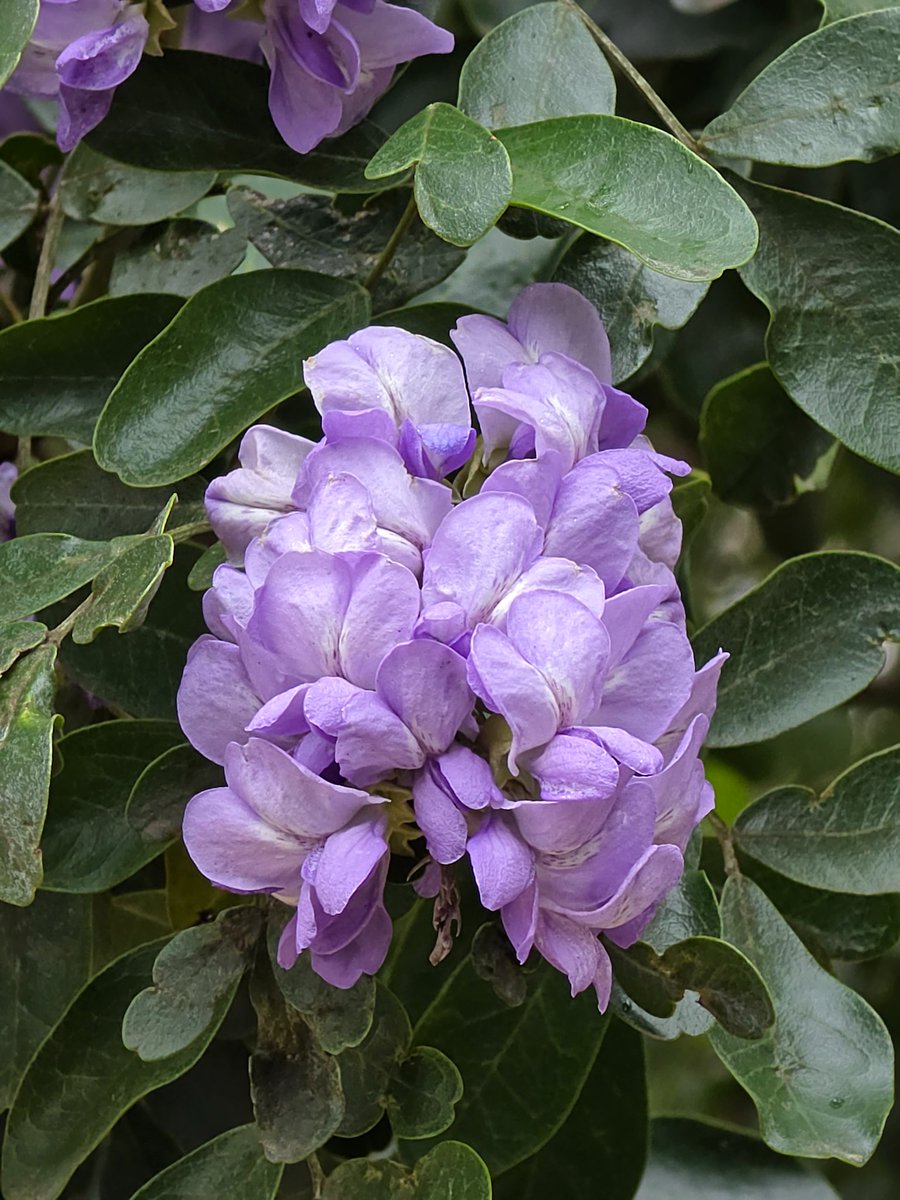 Marlow W. tweet media