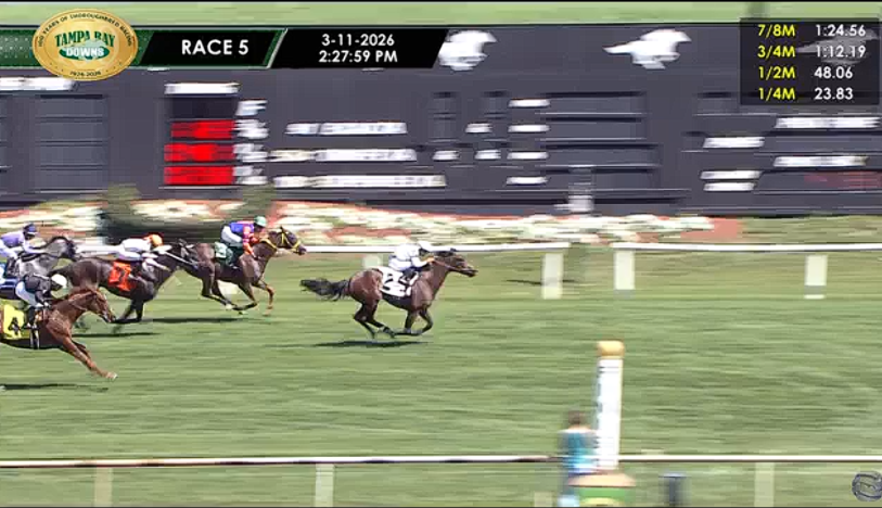 SethMerrow tweet media