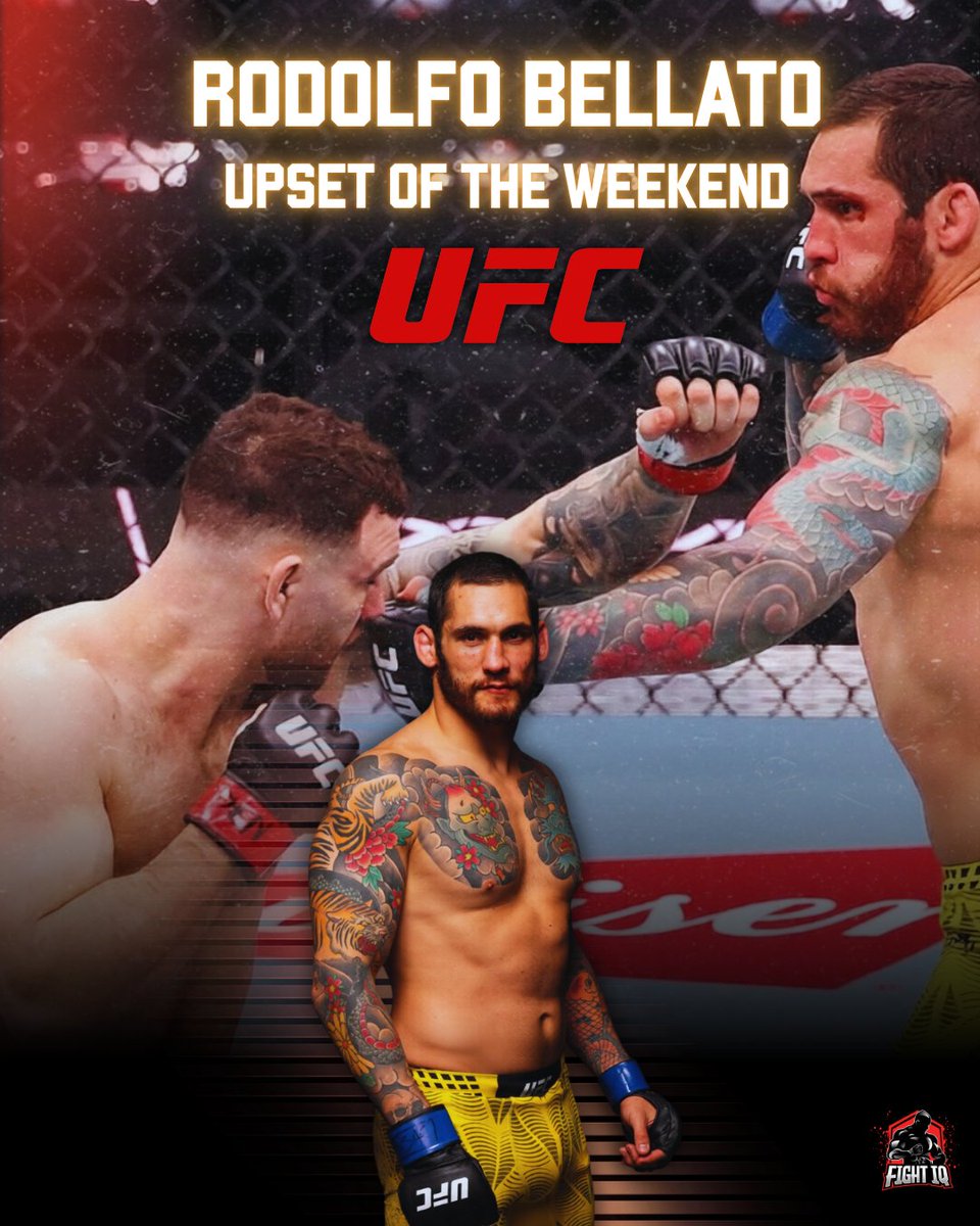 Fight IQ tweet media