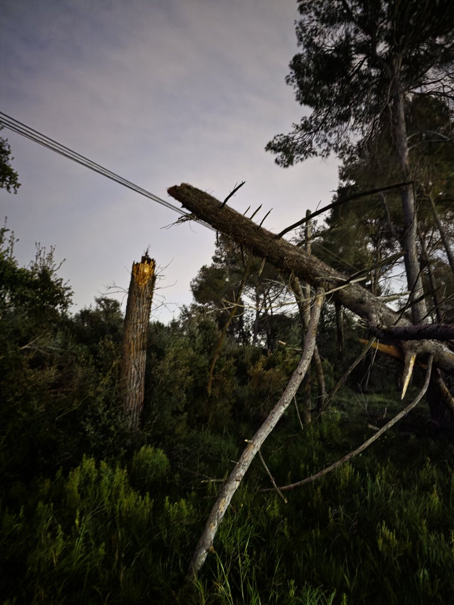 Kram_4's tweet photo. Bona tarda/vespre @llicamunt,

Hi ha alguna previsió per arreglar aquesta situació? Ja fa mesos que els veïns de la zona estem intranquils per si aquests cables acaben cedint.

Agraïria que es tingués en compte i se solucionés el més aviat possible.

Gràcies. https://t.co/XxgRUqSwhr
