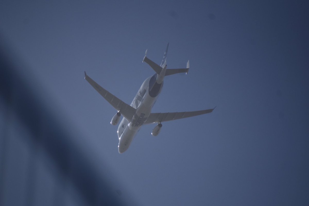 Paul Moran tweet media