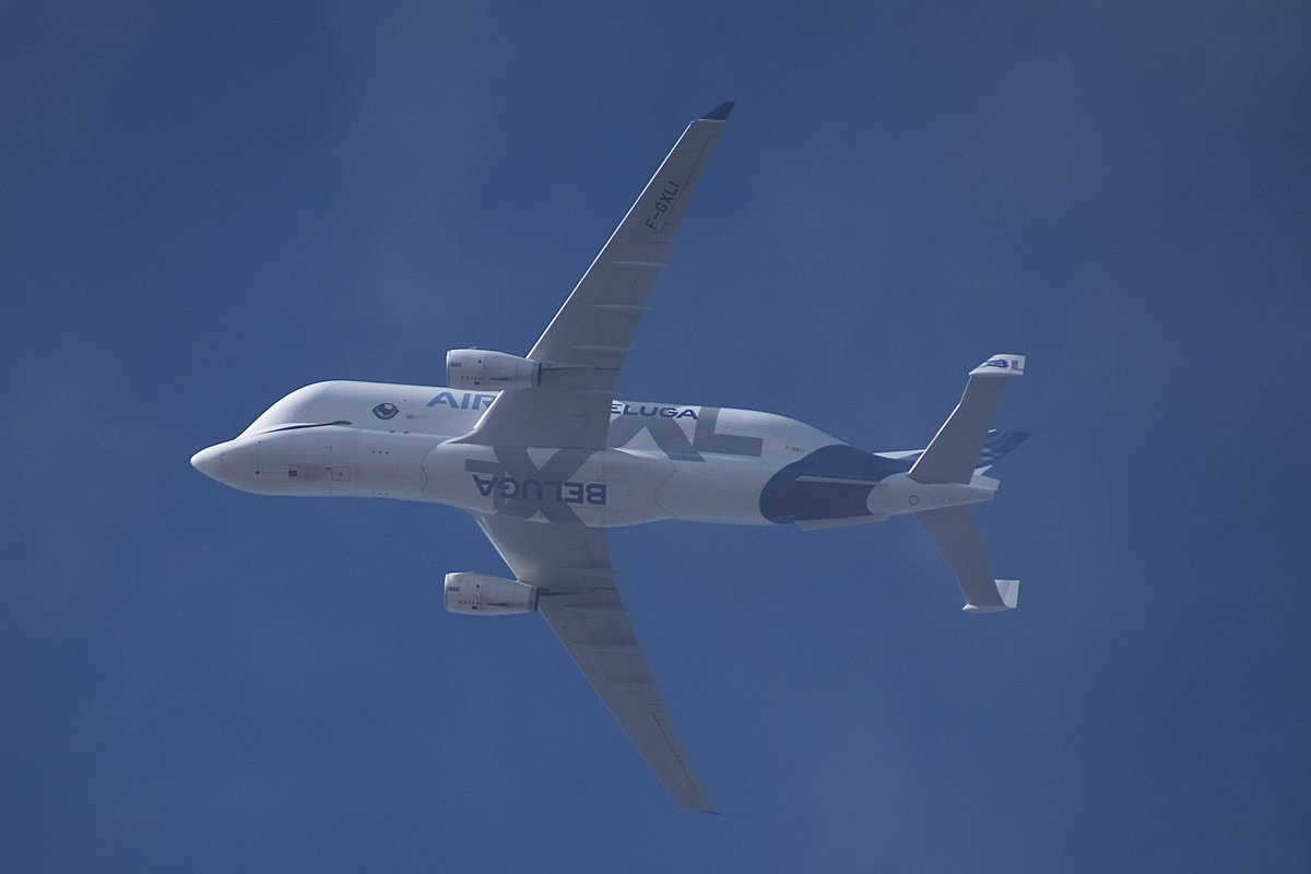 Paul Moran tweet media