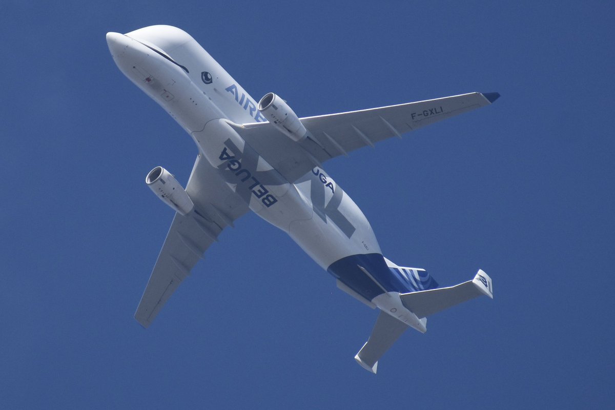 Paul Moran tweet media