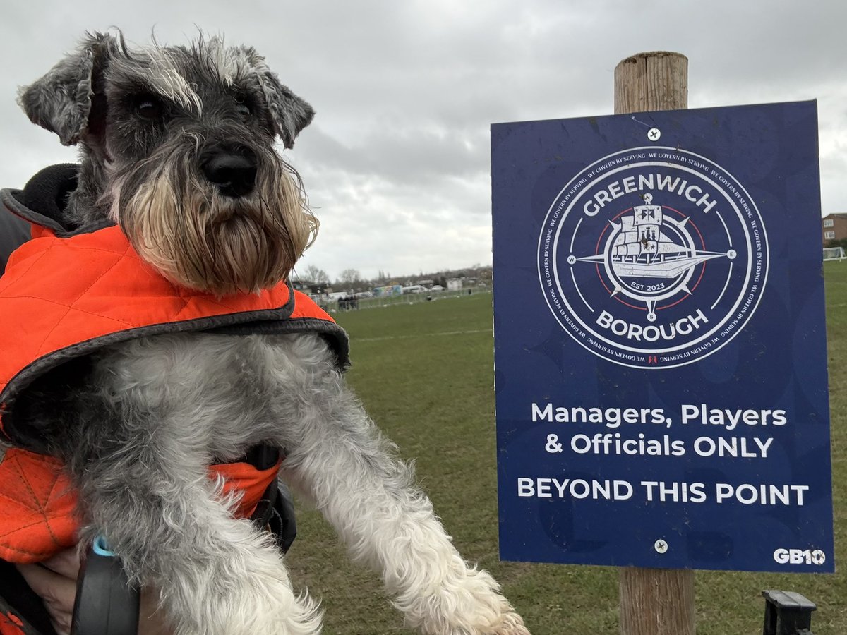 nonleaguedogs tweet media