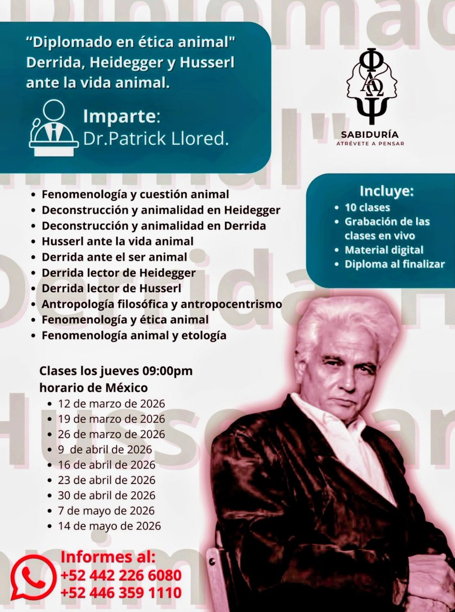 8emma9528's tweet photo. Empieza dentro de unas horas...
Sera el ultimo.
Prometido. https://t.co/OWcmCKcGEg