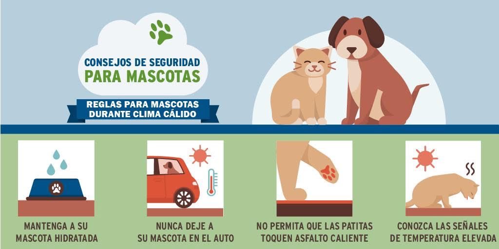 Halter Project tweet media