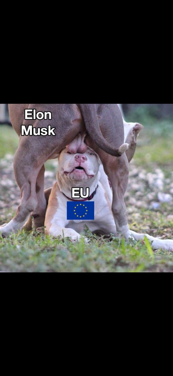 DutchRay🇳🇱 tweet media