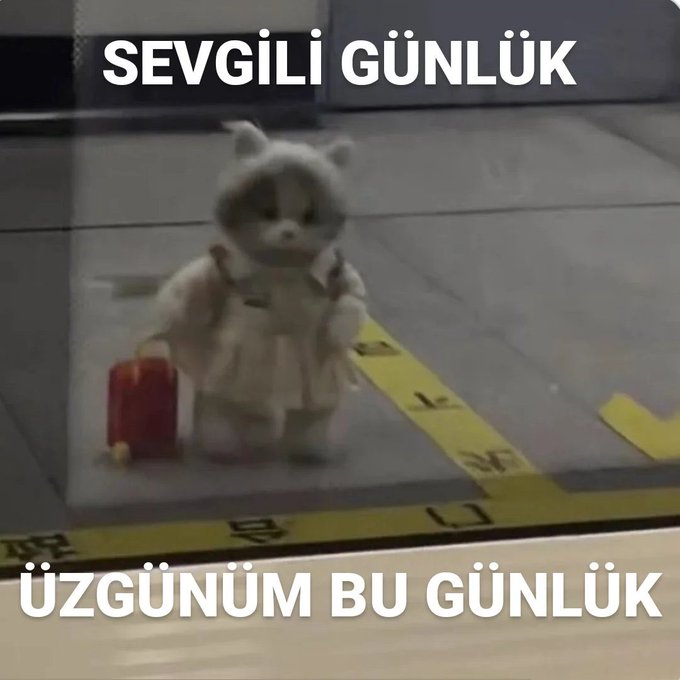 100de100mutsuz's tweet photo. https://t.co/MplgdIXEWa