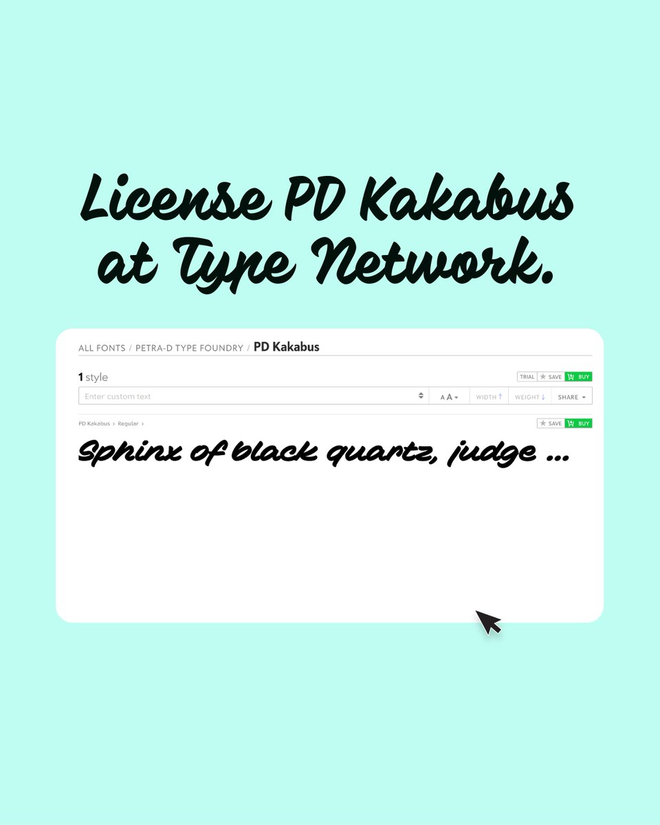 Type Network tweet media