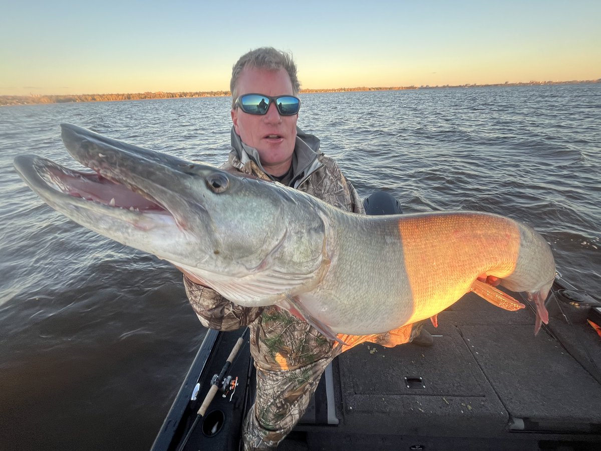 Jamie Pistilli / tweet media