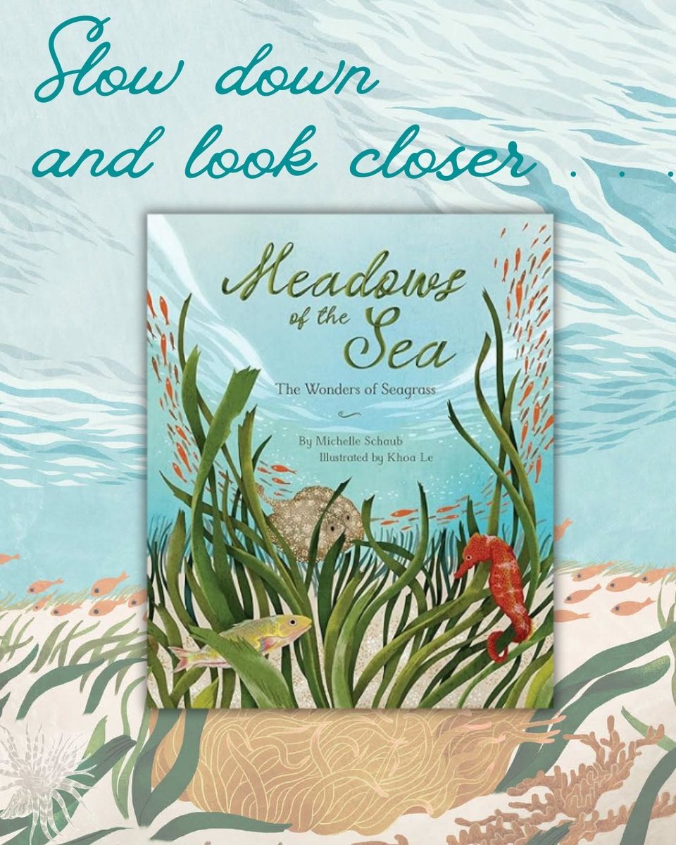 Michelle Schaub tweet media