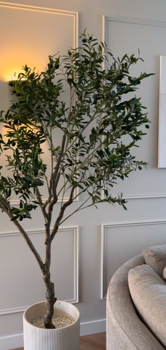 رنيم tweet media