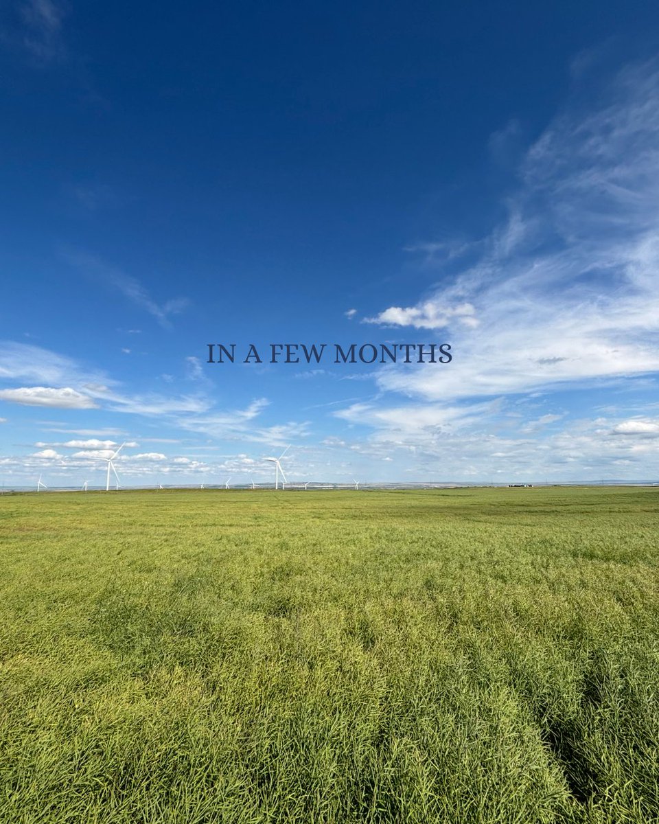 Core Ag Inputs- Warner Ltd tweet media