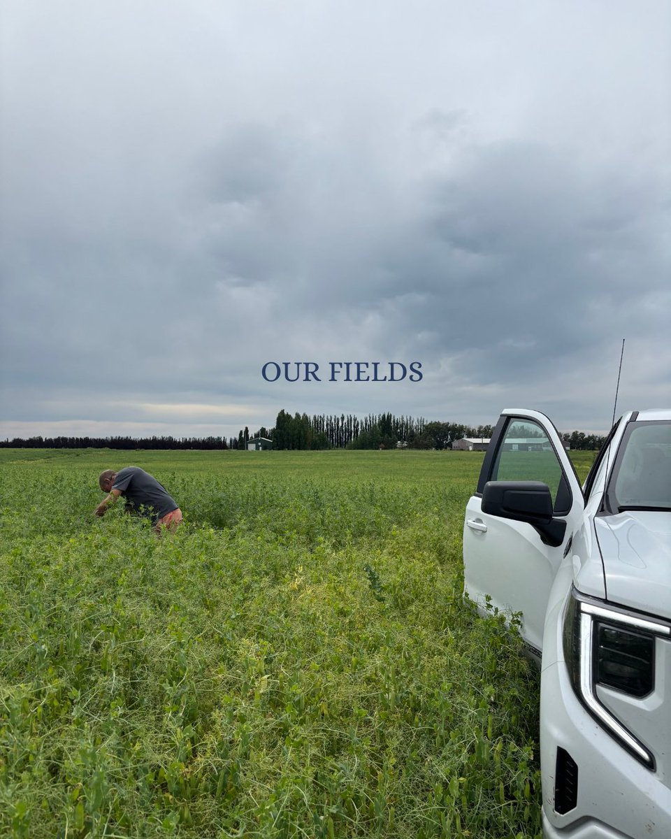 Core Ag Inputs- Warner Ltd tweet media