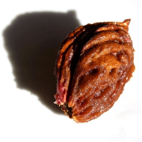 JM Virgili i Ortiga tweet media