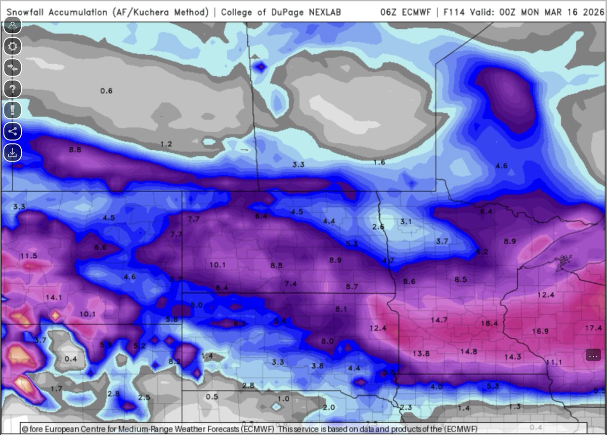 Markie Kelly tweet media