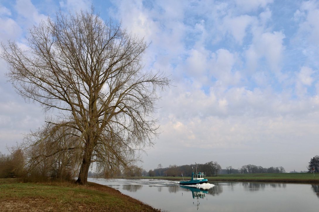 Nijenberg tweet media