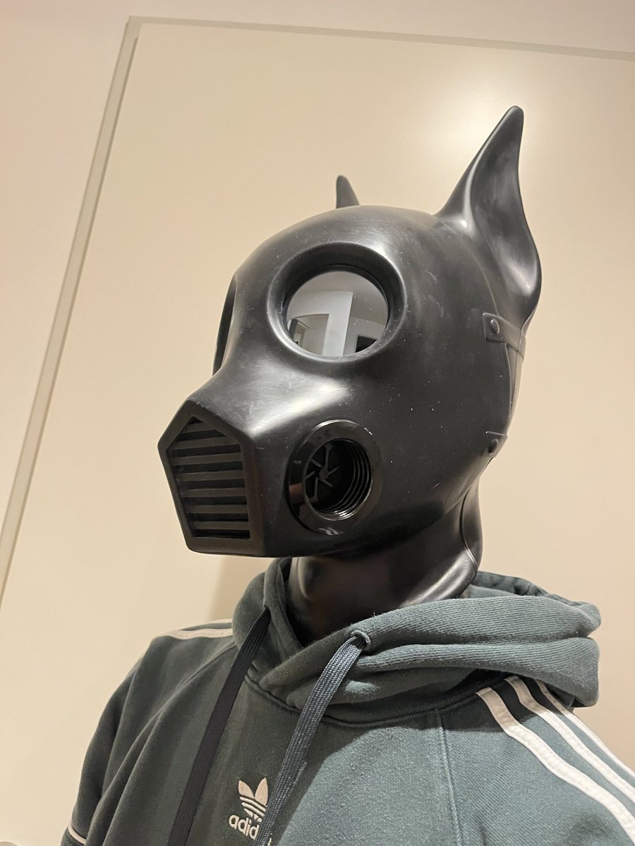 Robin_P_Renard tweet media