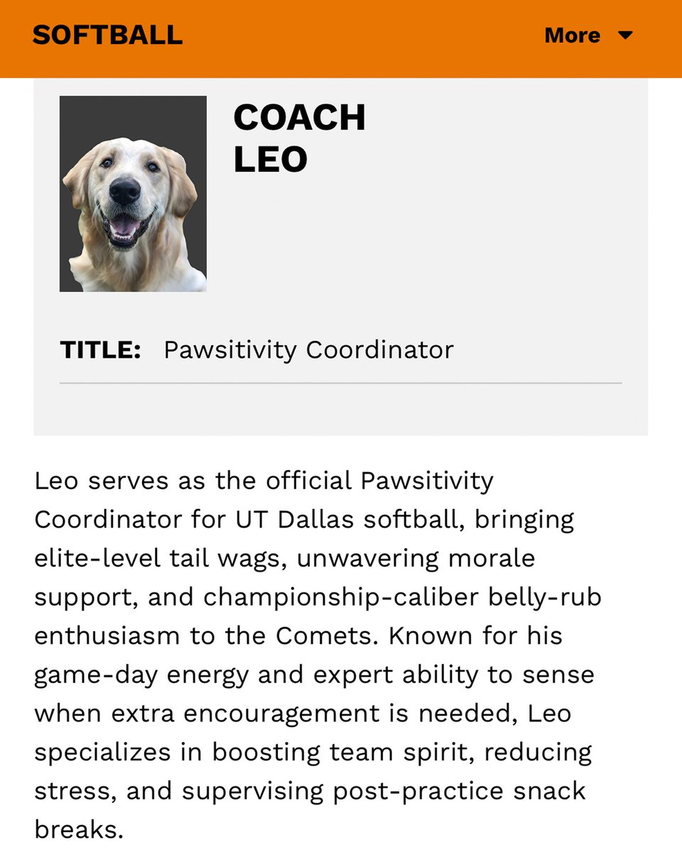 UTDCometSB's tweet photo. Everyone meet Coach Leo — our PAWSitivity Coordinator, team morale maestro, and dugout vibe supervisor. The Comets’ official tail-wagging hype dog and snack-break ambassador 🐾☄️ 

@FloCollegeSB @DIISoftball @LoneStarConf https://t.co/wGDpK5VoM1