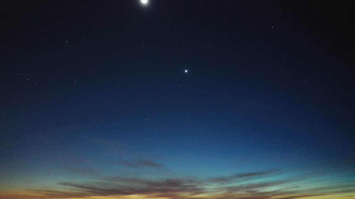 Phillip Davis tweet media