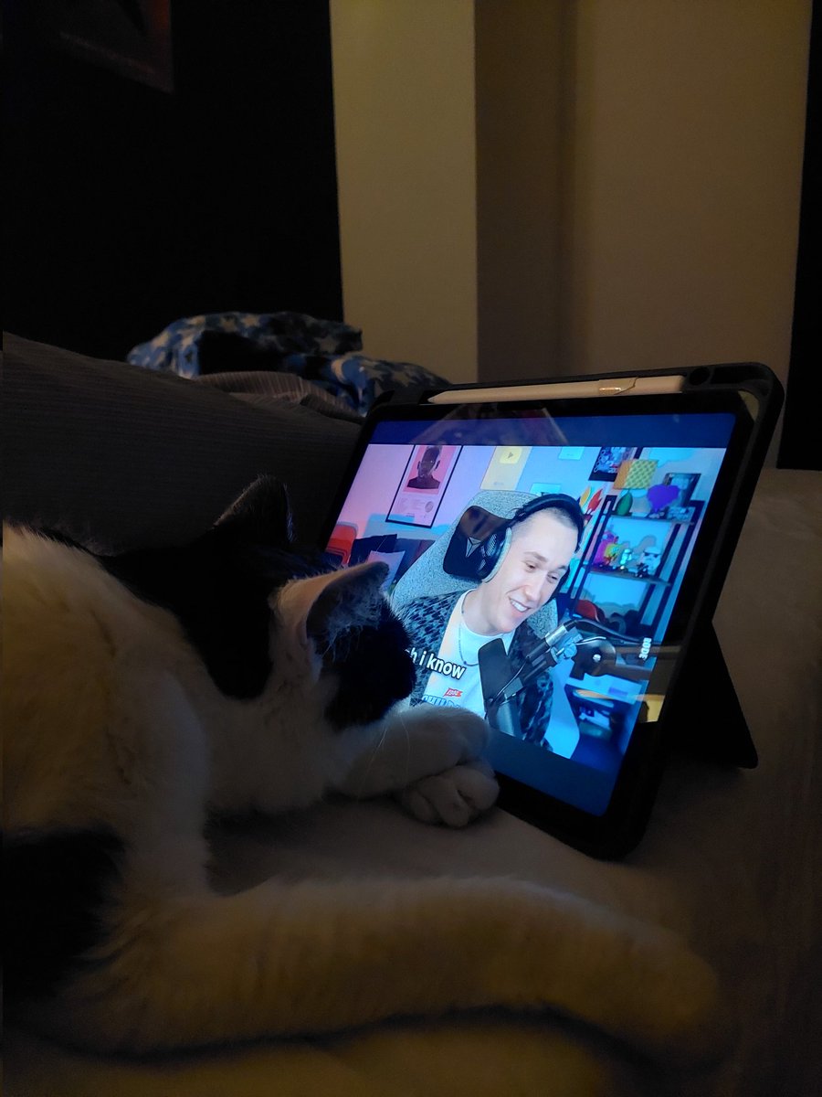 venus 🍉🎗️ 🦝 proudestest brother of jun ⭐ tweet media