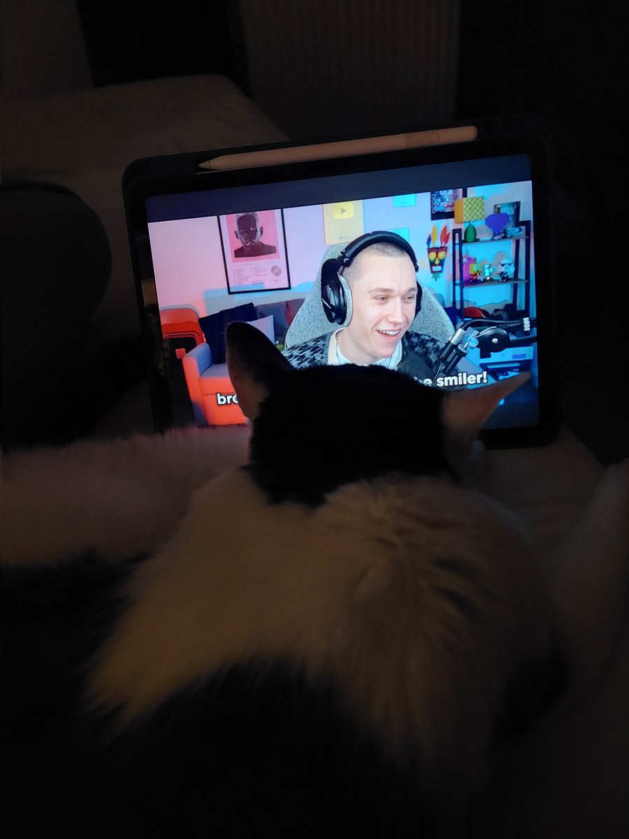 venus 🍉🎗️ 🦝 proudestest brother of jun ⭐ tweet media