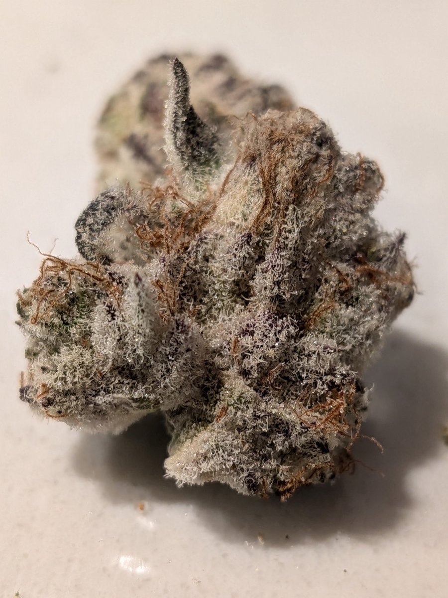 Donald Wormer tweet media