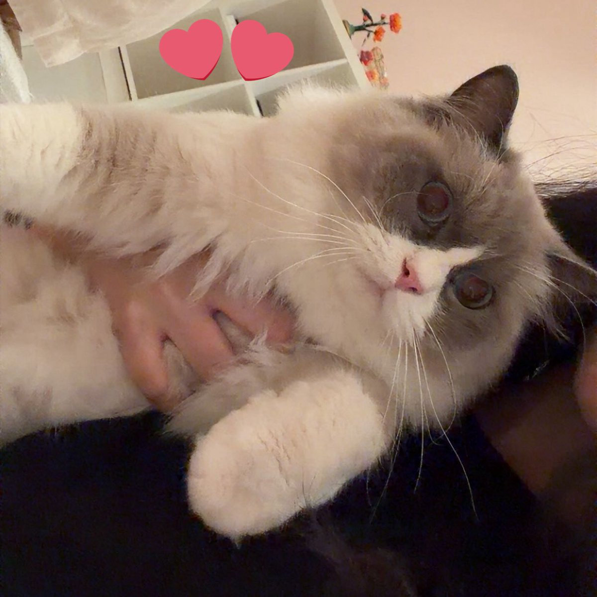 okay guys let me introduce u to my daughter