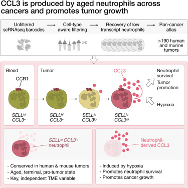 Cancer Cell tweet media