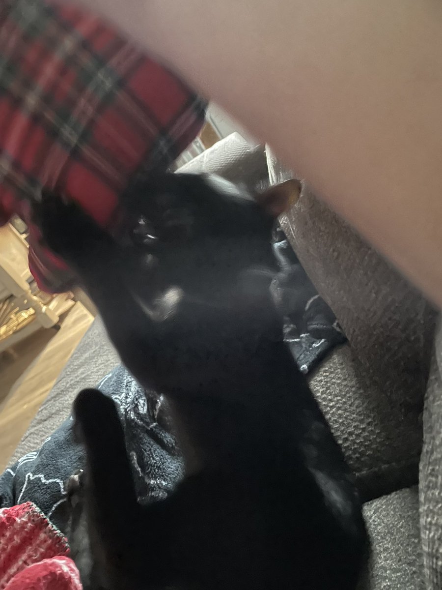 Donald Wormer tweet media