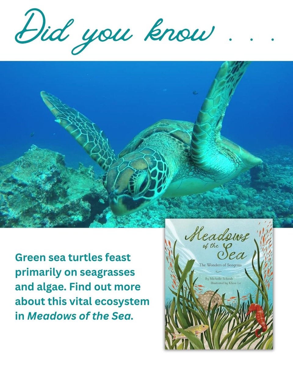 Michelle Schaub tweet media