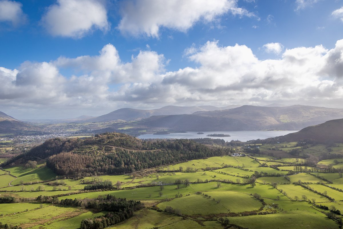 Andrew Locking tweet media