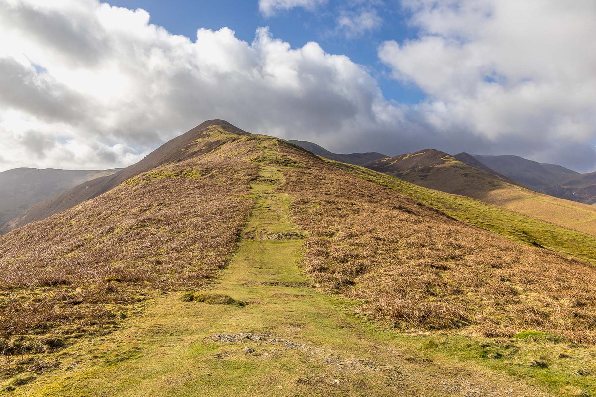 Andrew Locking tweet media