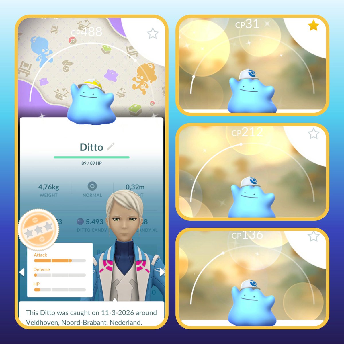 Aquatictoise tweet media