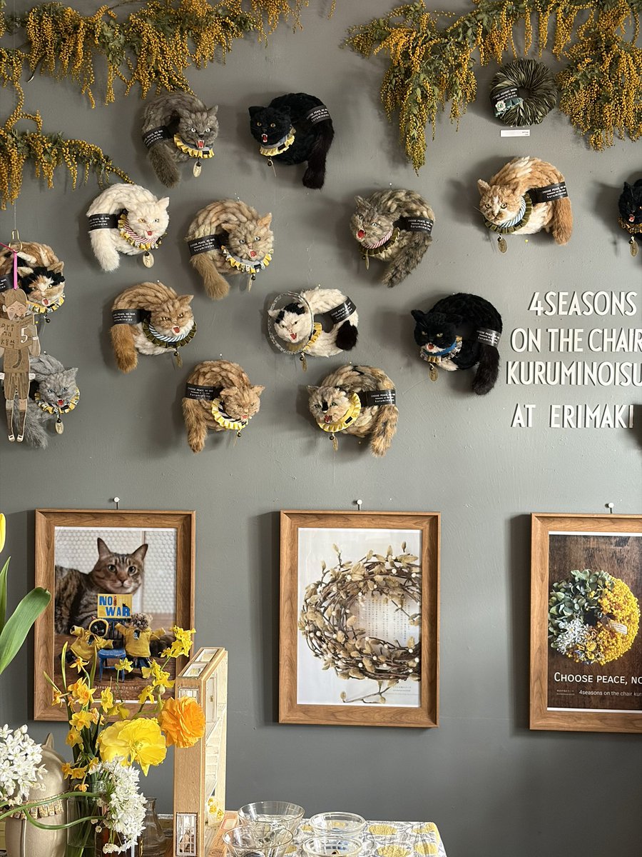 erimaki_cat tweet media