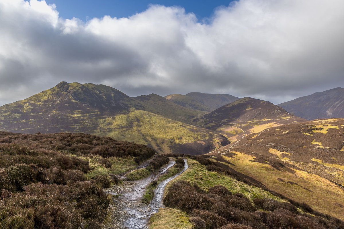 Andrew Locking tweet media