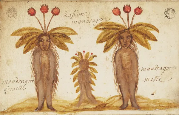 CienciaConArte |Ccª| tweet media