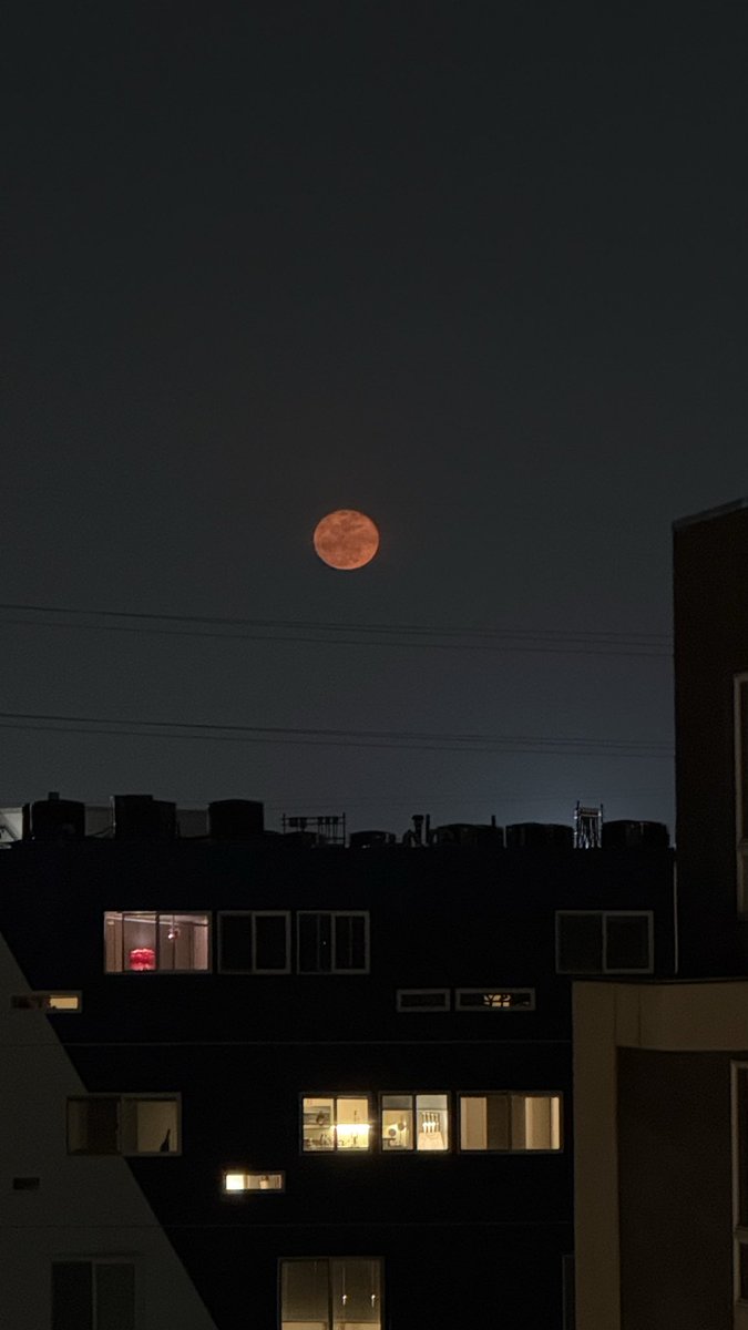 🌕 tweet media