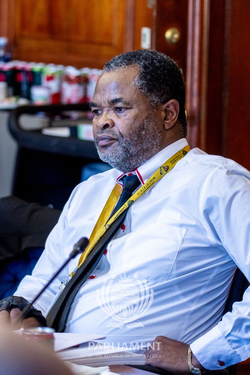 Defence Cluster Parliament of RSA tweet media