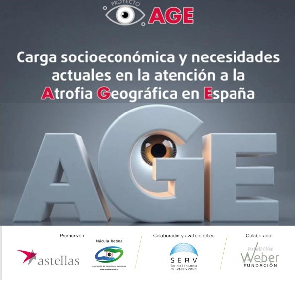 Mácula Retina tweet media