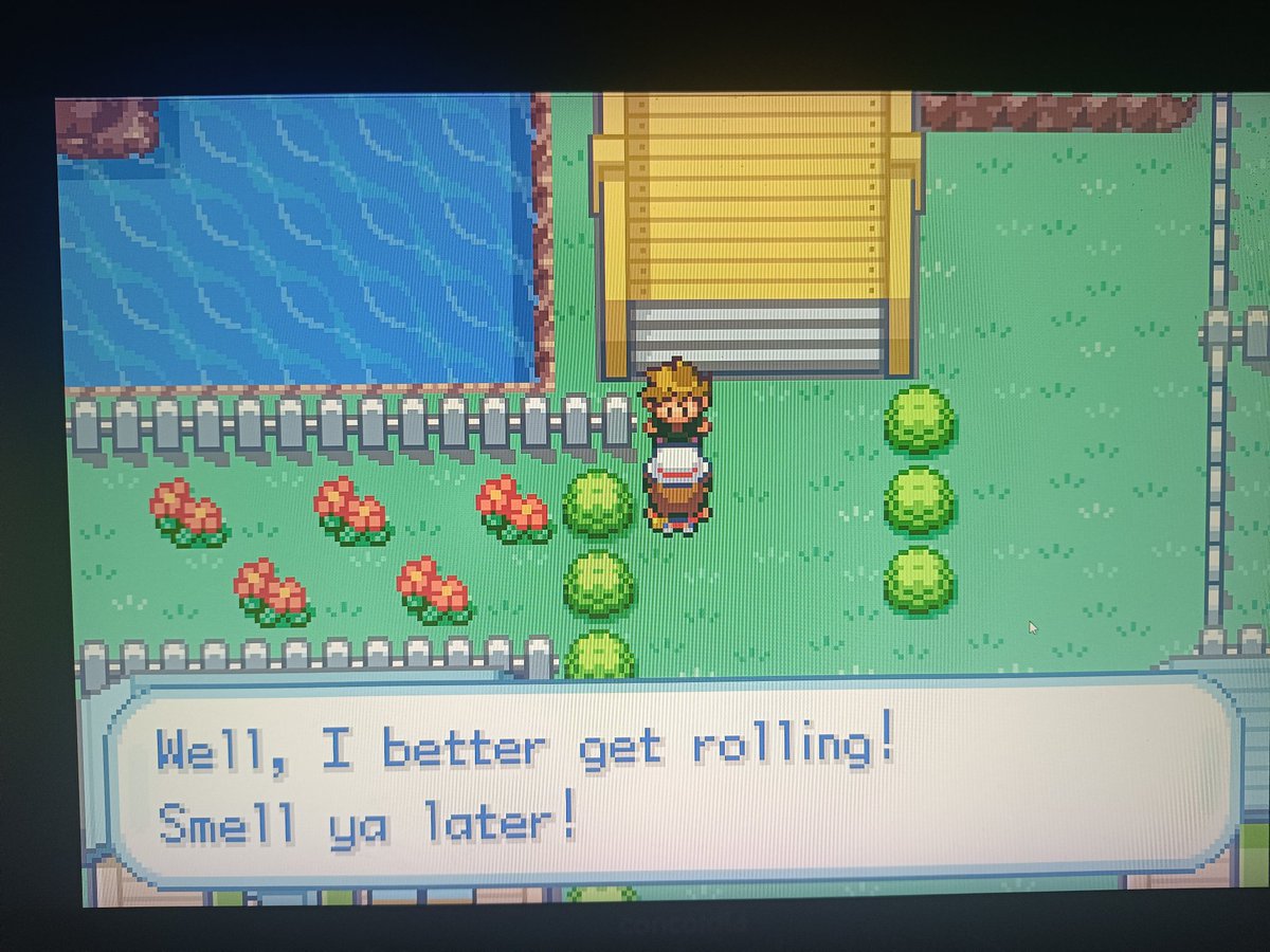 AnodosGL 🎮 tweet media