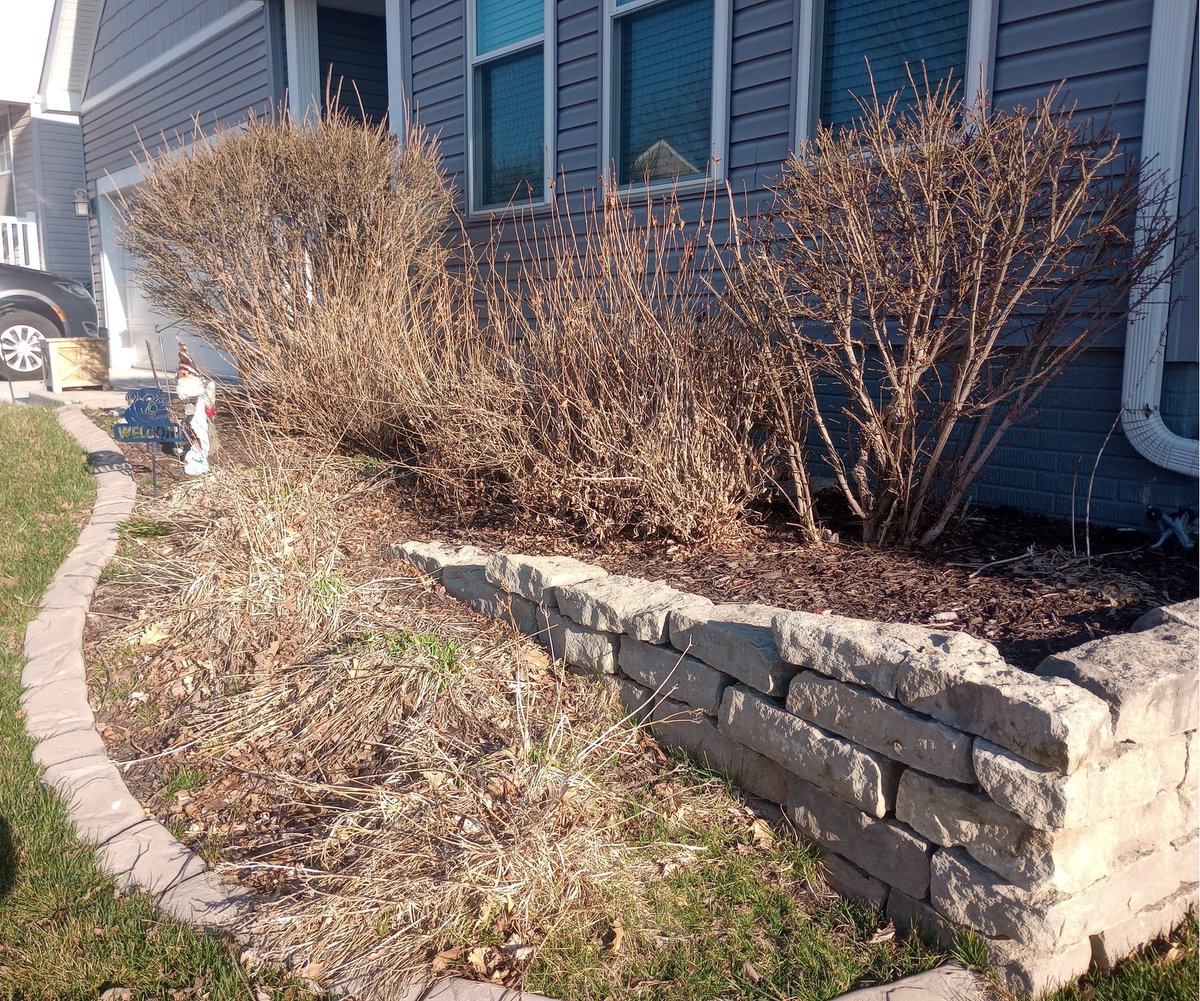 julzabovebeyond's tweet photo. Take back your weekends and keep up with the Joneses by leaving the dirty work to us. We offer comprehensive lawn and landscape services tailored for busy individuals and families. https://t.co/Z8O0b1azFj