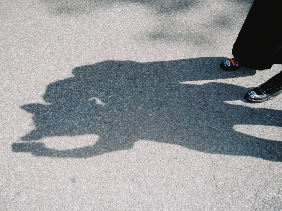 Slow Magic tweet media