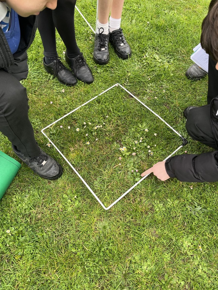 Cranborne Middle School tweet media