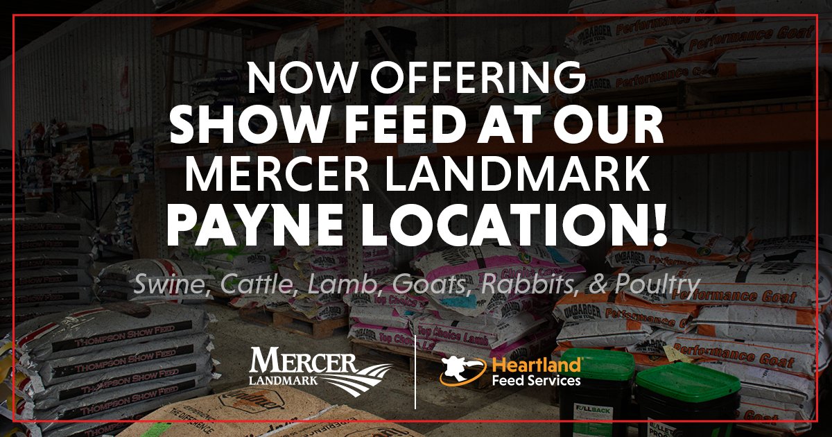 Mercer Landmark tweet media