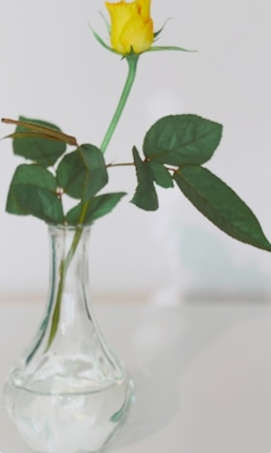 LightBoxNews tweet media