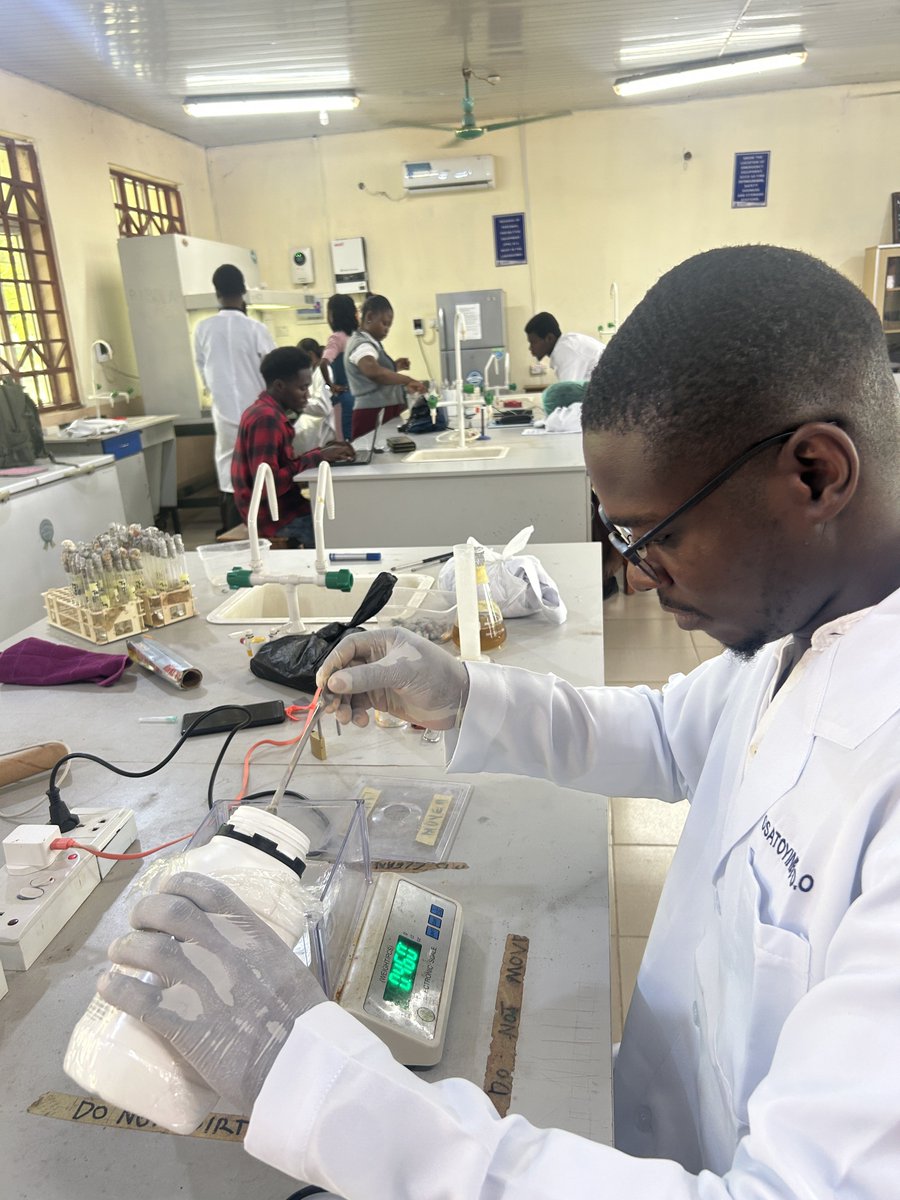 opemidimeji_xo's tweet image. let’s get the project benchwork started 🧫